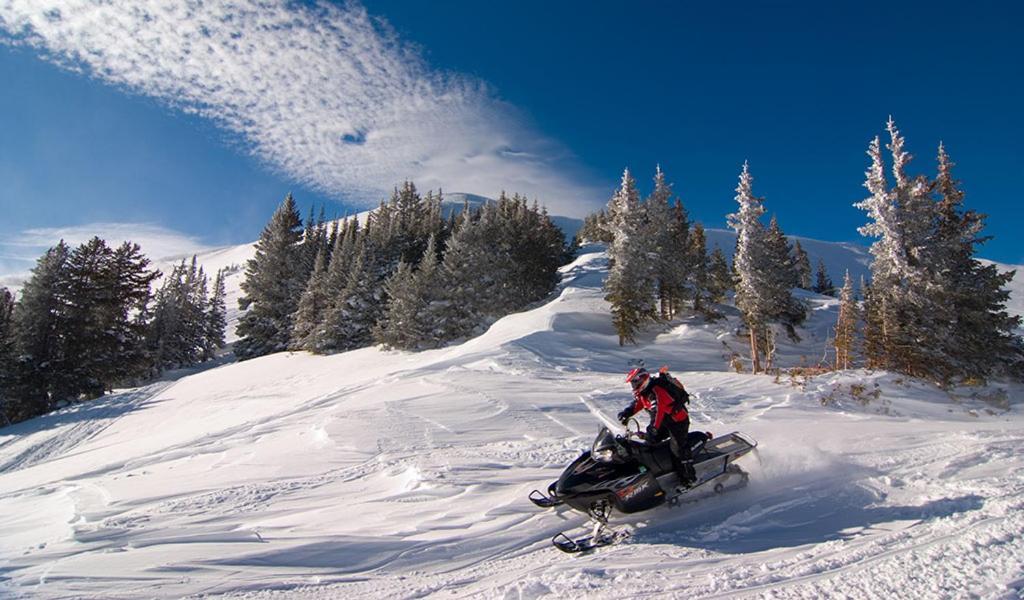 Lily Mountain Lodge - Amazing Mountains Views, Private Hot Tub, Great Location 에스테스 파크 외부 사진